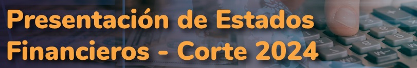 ESTADOS FINANCIEROS 2024